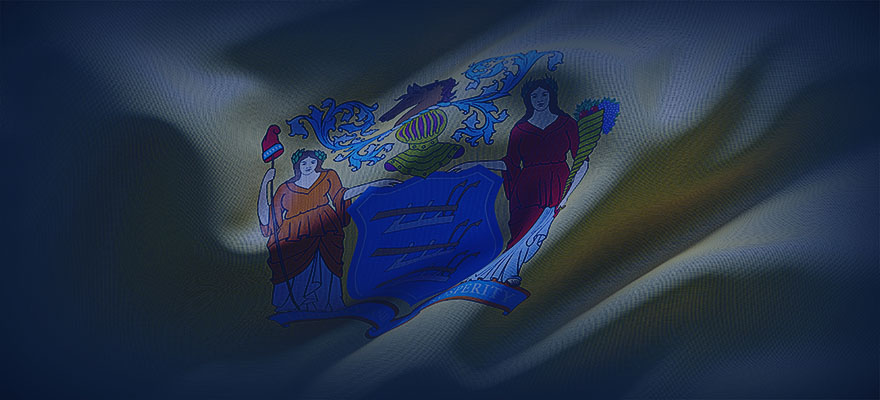 New Jersey State Flag